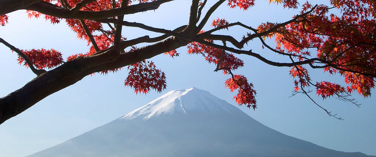 Mt. Fuji