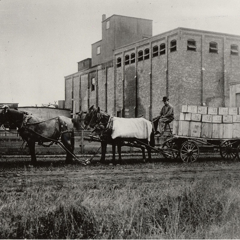 old picture horses pulling a loaded cart