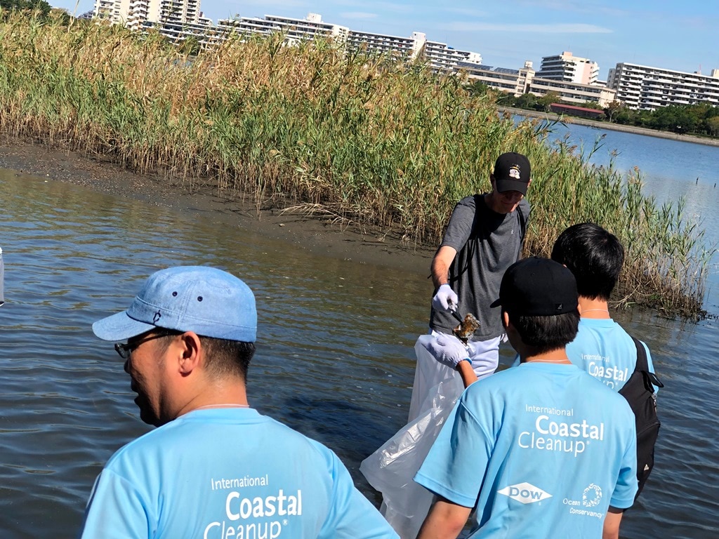 volunteers cleaning a wetland